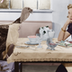 Illustration for article titled Single? Hate Your Parents? Bring This Guy Home for Thanksgiving